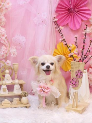 20250315チャッピーちゃん